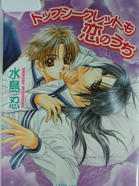 トップシークレットも恋のうち　水島忍(著)